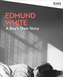 Beletria A Boy's Own Story - Edmund White