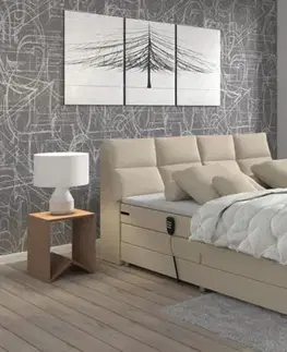 Boxspring Elektrická polohovacia boxspringová posteľ AVA