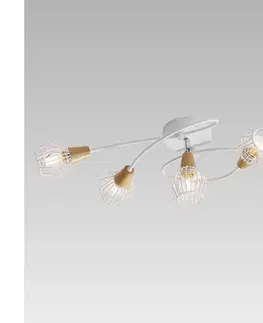 Svietidlá Prezent  - Prisadený luster TAMETA 5xE14/40W/230V 