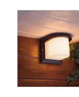 Svietidlá  Vonkajšie nástenné svietidlo PETUNIA 1xE27/60W/230V IP44 antracit SKU009148