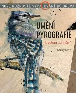 Remeslá, dielňa, drotárstvo, košíkárstvo,... Umění pyrografie - Cherry Ferris