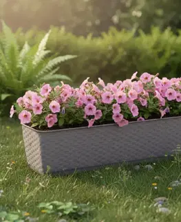Záhradné kvetináče ProsperPlast Kvetináč RATOLLA  P | mocca 59 cm