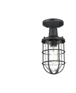Záhradné lampy Westinghouse 6113140 - Vonkajšie stropné svietidlo CRESTVIEW 1xE27/60W/230V IP44 6113140