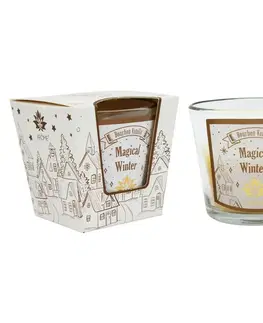 Vianočné dekorácie Arome Vonná sviečka v skle Vanilla, 120 g