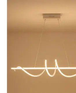Svietidlá  Stmievateľný LED luster na lanku LED/50W/230V 3000-6500K 100 cm + diaľkové ovládanie TA2316/W