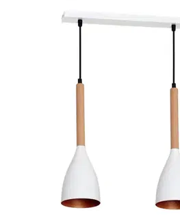Svietidlá  Luster na lanku MUZA 2xE27/60W/230V 9107