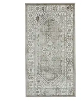 Moderné koberce Koberec Lotus 0,8/1,5 07838a N8fk-85
