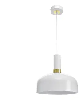 Svietidlá  Luster na lanku MALMO 1xE27/60W/230V MLP6197