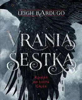 Sci-fi a fantasy Vrania šestka 1 - Leigh Bardugo,Ivana Cingelová