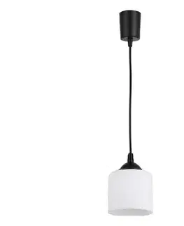 Svietidlá BRILAGI - LED luster na lanku RETRO GLASS 1xE27/60W/230V priemer 14 cm čierna/biela NSTK7006+TK6439A