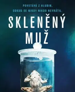 Detektívky, trilery, horory Skleněný muž - Motte de la Anders,Jaroslav Bojanovský