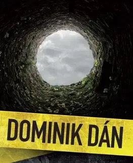 Detektívky, trilery, horory Studňa - Dominik Dán