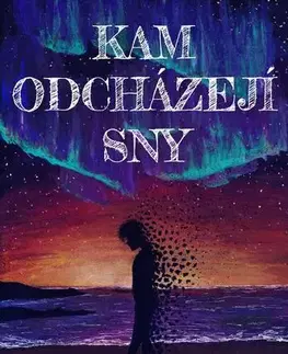 Detektívky, trilery, horory Kam odcházejí sny - Petra Fido