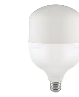 Žiarovky  LED žiarovka T160 E27/60W/230V 6500K 23577