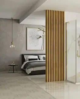 Sprchovacie kúty REA/S - Sprchová kabína Hugo 100x90 Gold Brush Dvere: 100 Stena: 90 KPL-K8416