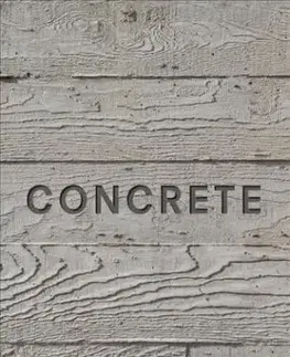 Architektúra Concrete (Mini Format) - Kolektív autorov
