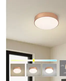 Svietidlá BRILAGI - LED stropné svietidlo POOL LED/24W/230V 3000/4000/6000K priemer 20 cm bronzové BRI1011