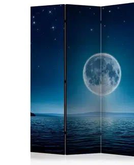 Paravány Paraván Moonlit night Dekorhome