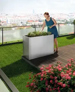 Truhlíky Biohort Hrantík BIOHORT Belvedere 54,7 x 54,7 x 61 cm (strieborná metalíza)
