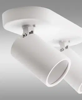 Lampy do obývačky Stropné bodové svietidlo VO2605 WHITE LS2