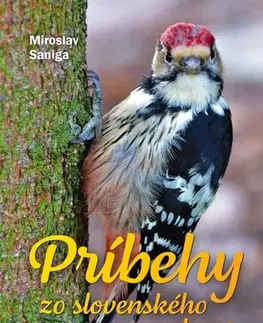 Pre deti a mládež - ostatné Príbehy zo slovenského lesa - Miroslav Saniga