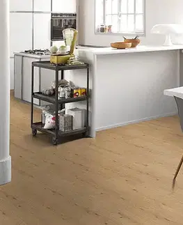 Modular one PARADOR Modular one Dub atmosphere prírodné autentická štruktúra 1744545