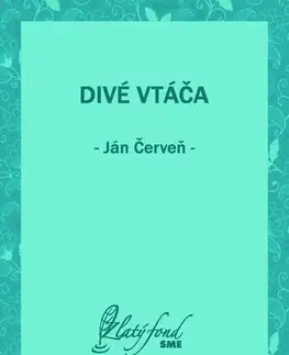 Romantická beletria Divé vtáča - Ján Červeň