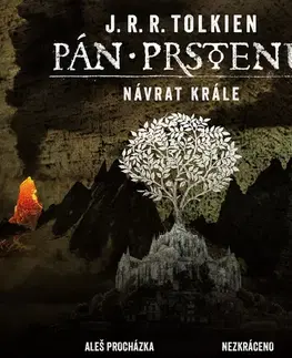 Beletria - ostatné Tympanum Pán prstenů: Návrat krále