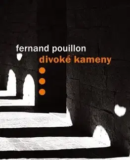 Historické romány Divoké kameny, 2. vydání - Fernand Pouillon,Denis Molčanov,Denis Molčanov