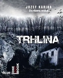 Detektívky, trilery, horory Ikar Trhlina