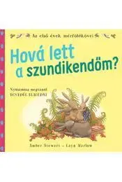 Rozprávky Hová lett a szundikendőm? - Amber Stewartová