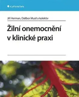 Medicína - ostatné Žilní onemocnění v klinické praxi - Kolektív autorov