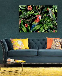 Obrazy Plátno maľba Tropical Birds