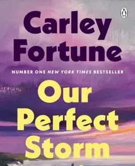 Romantická beletria Our Perfect Storm - Carley Fortune