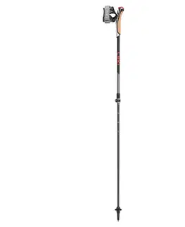 Trekingové palice LEKI Instructor Lite