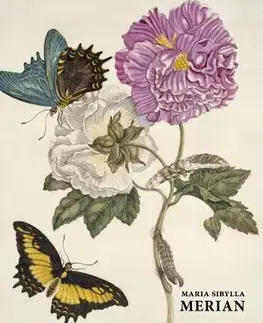 Maliarstvo, grafika Maria Sibylla Merian - Daniel Kiecol
