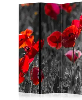 Paravány Paraván Red Poppies Dekorhome