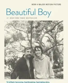 Svetová beletria Beautiful Boy (tie-In) - David Sheff