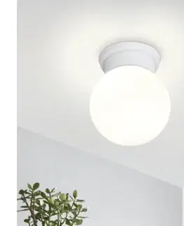 Svietidlá Eglo 94973 - Stropné svietidlo DURELO 1xE27/28W/230V 94973