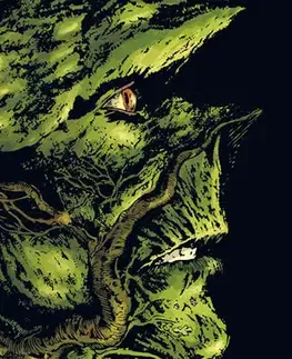 Komiksy Swamp Thing - Bažináč 1 - 2.vydání - Alan Moore