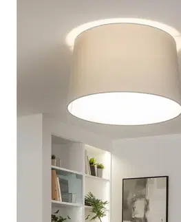 Svietidlá BRILAGI - LED prisadený luster CERIA 1xE27/40W/230V pr. 45 cm sivá BG3991+EG781042