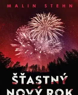Detektívky, trilery, horory Šťastný nový rok - Malin Stehn