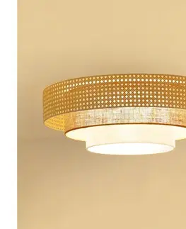Svietidlá BRILAGI - LED stropné svietidlo CEDAR LUNETA LED/26W/230V ratan/hnedá/krémová 607940