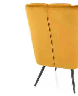 Kreslá Kreslo Louis Velvet