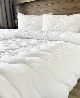 Prikrývky Set Aloe Vera LUXURY Microfiber fabric vankúš 90x70cm+paplón 140x200cm TiaHome