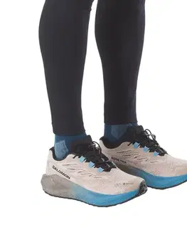 Cesta Salomon Aero Blaze 4 Grvl Gtx M Veľkosť: 42 EUR