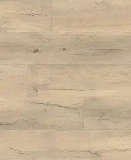 LVT 55 EXPERTO LVT 55 Dub sevilla 6179-2