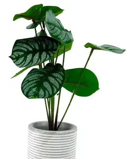 Umelé kvety MAKRO - Kvet umelý v kochlíku 7x27cm, listy