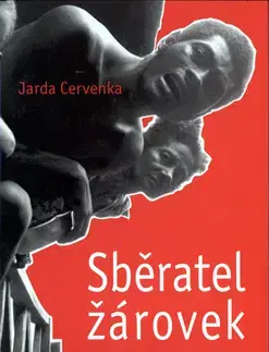 Beletria - ostatné Sběratel žárovek a další povídky z různých koutů světa - Jarda Červenka