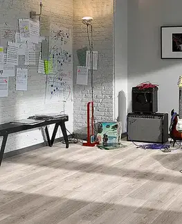 Basic 5.3 PARADOR Basic 5.3 SPC Dub sivý bielené kartáčovaná štruktúra 1743001